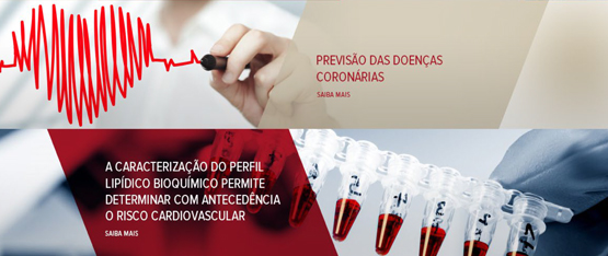 Newsletter Grupo Germano de Sousa